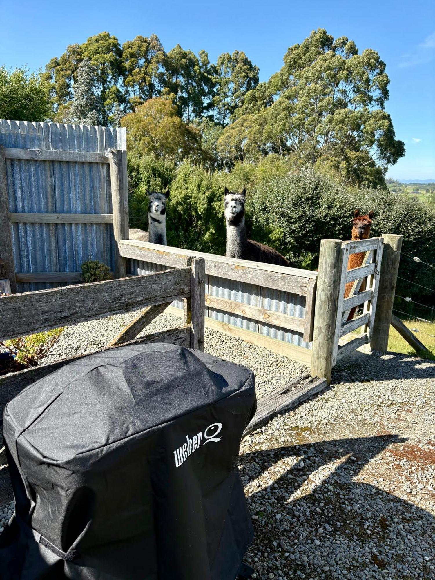 The Shepherd'S Rest Oamaru Buitenkant foto